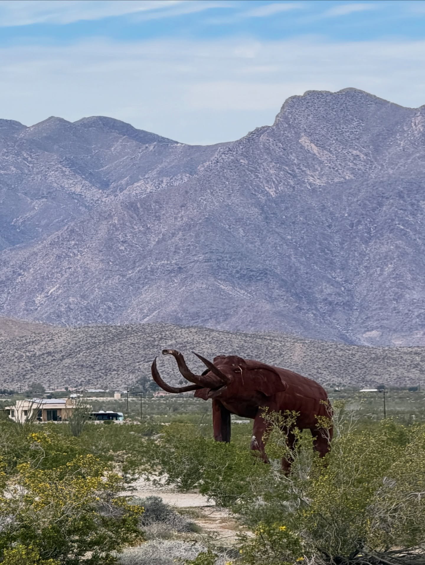 After hiking The Slot we drove over to Borrego Springs to explore the metal sculptures there. Tim was very excited that there were dinosaur ones.