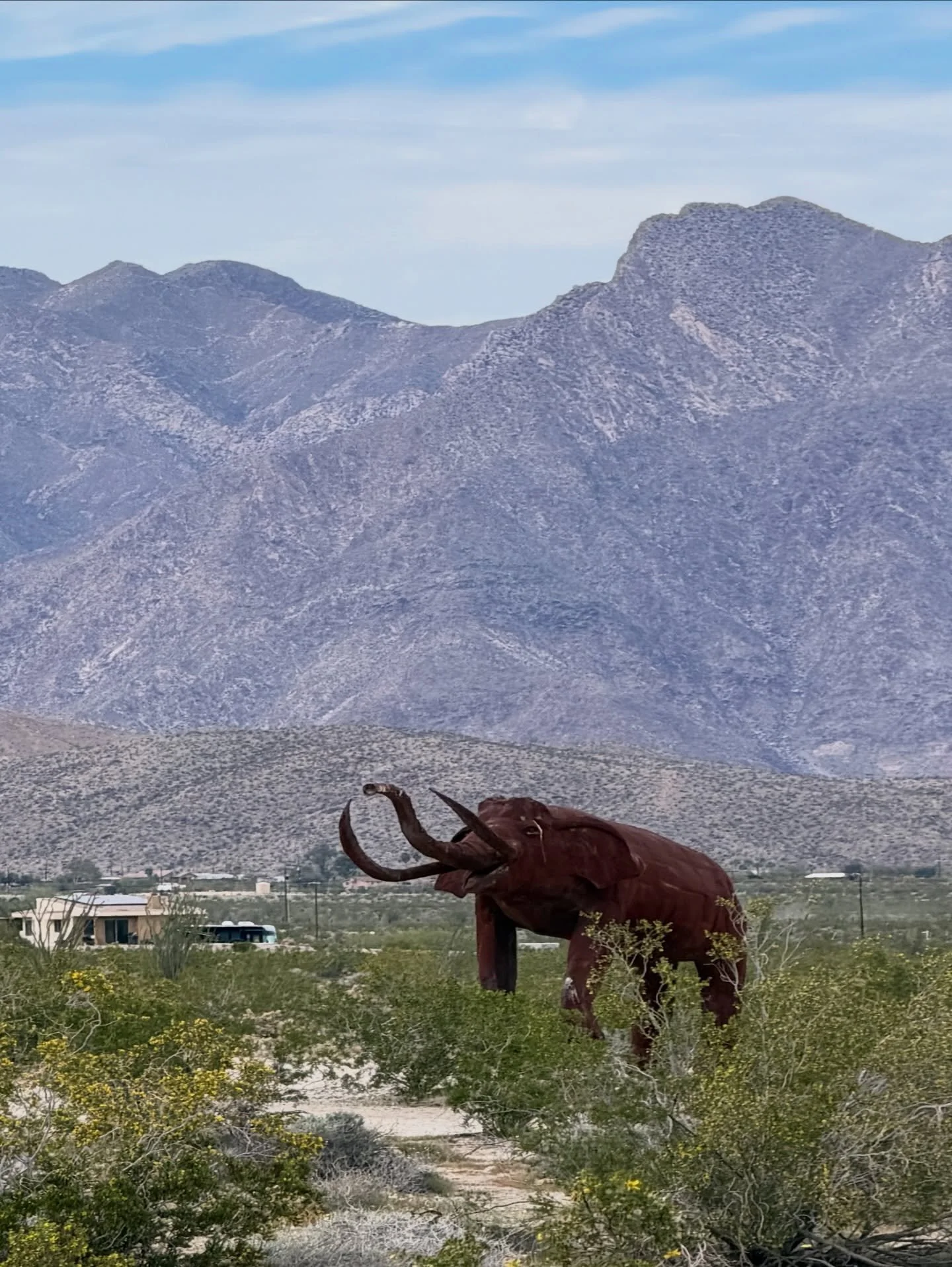 After hiking The Slot we drove over to Borrego Springs to explore the metal sculptures there. Tim was very excited that there were dinosaur ones.