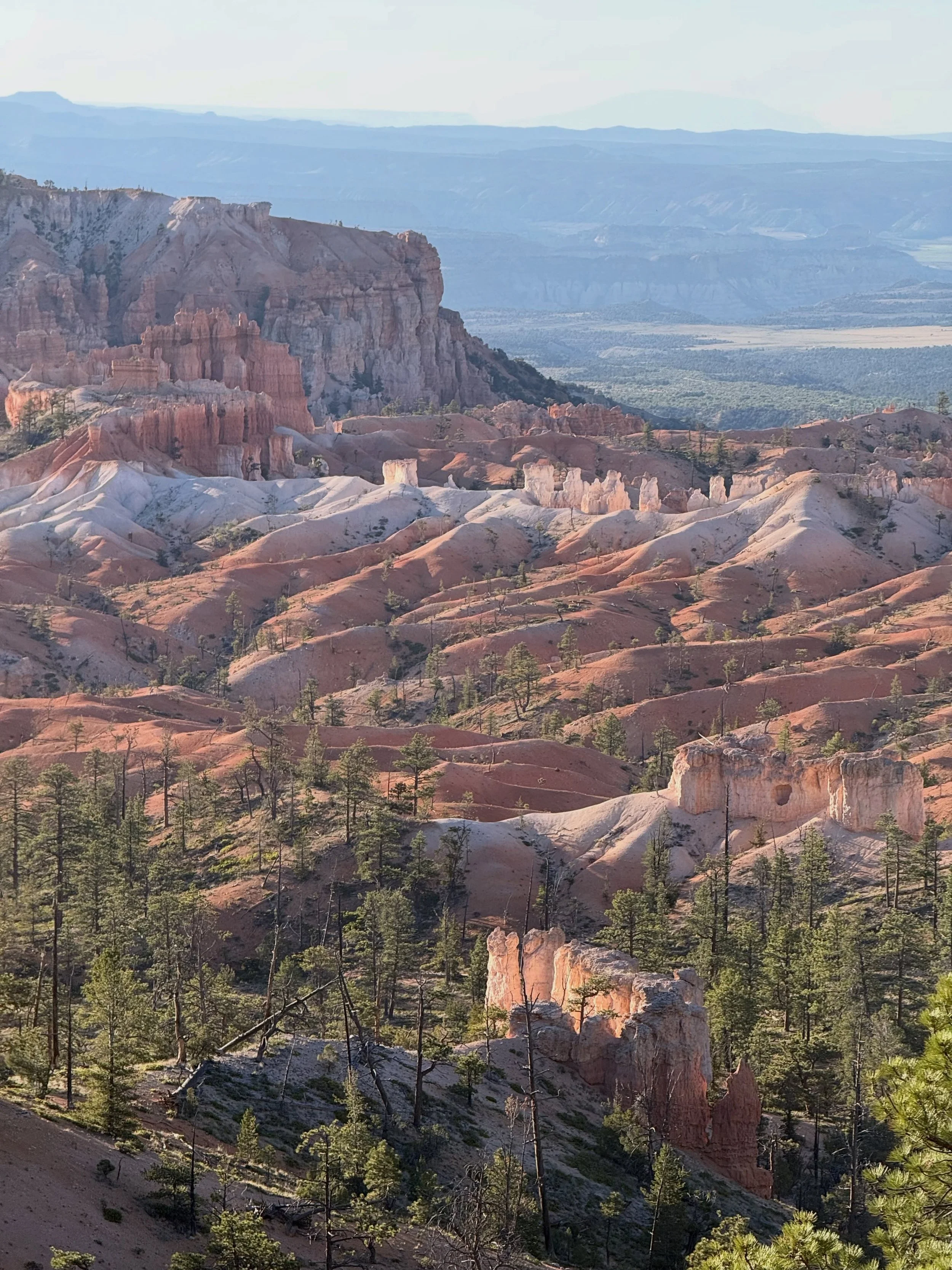 Day two of Bryce Canyon national park was hiking down to Tower Bridge, and then having to hike 800ft back up. It was a good hike but the ascent back up was brutal. After that we headed to the lesser visited part of the park to do the Mossy Caves trai