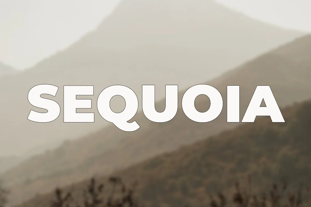 sequoia.jpg