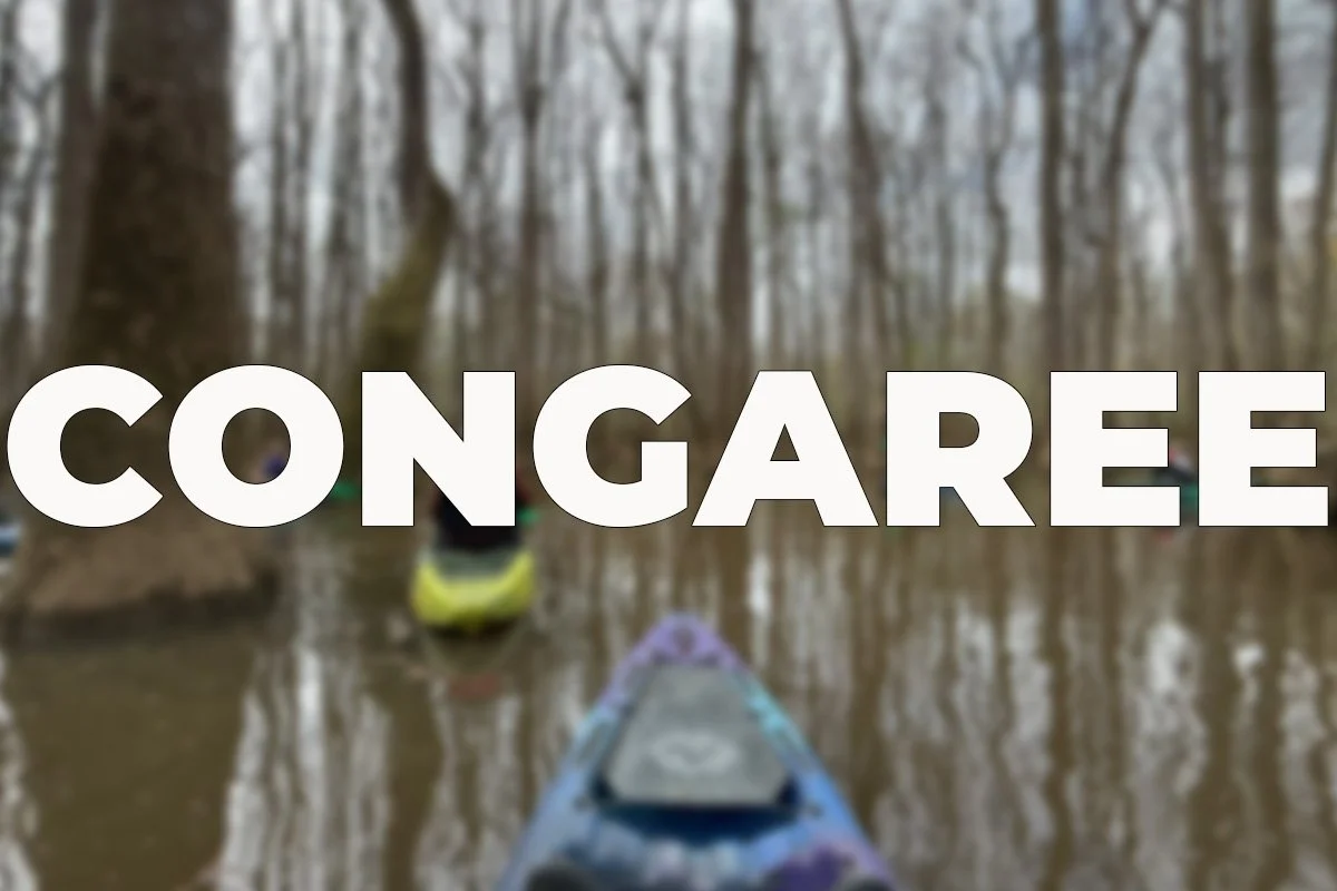congaree.jpg