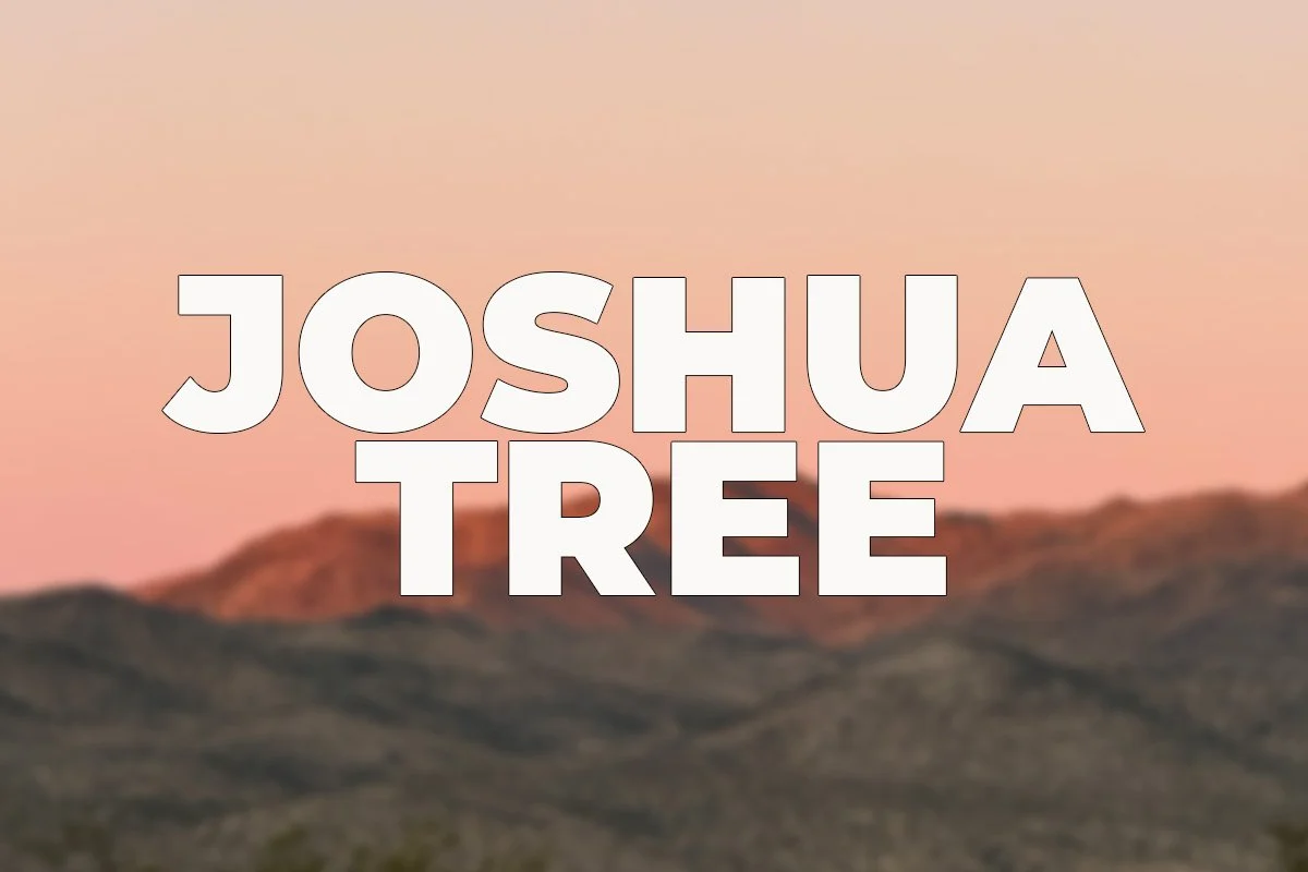 joshuatree.jpg