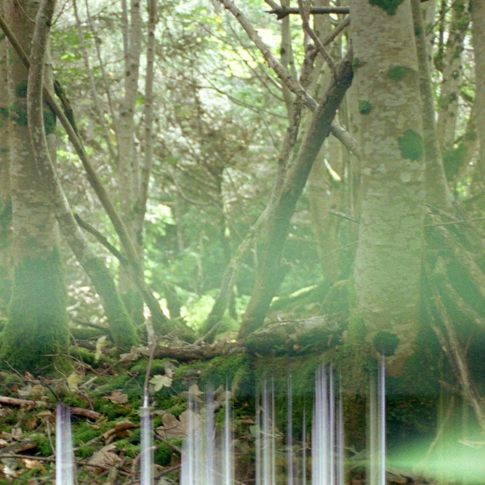 Mind Walk: ‘Echoes From The Outside’