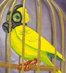 Canary in the Coal Mine
