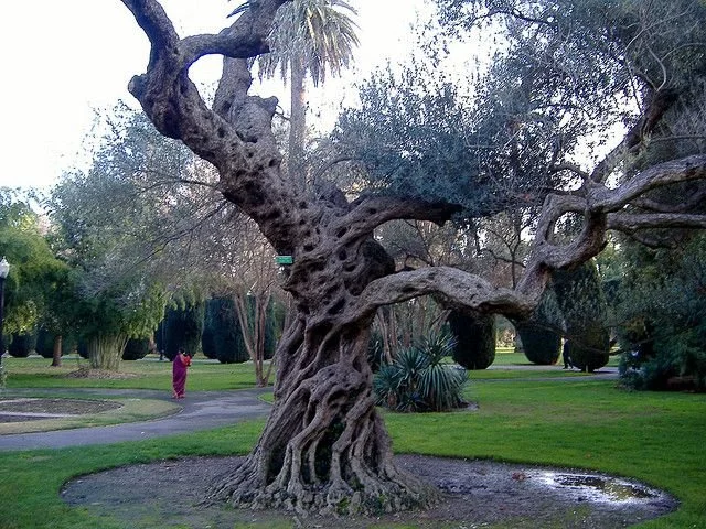 Don't Just Do Something...