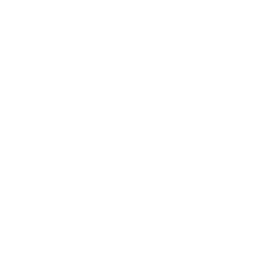 the new york times.png