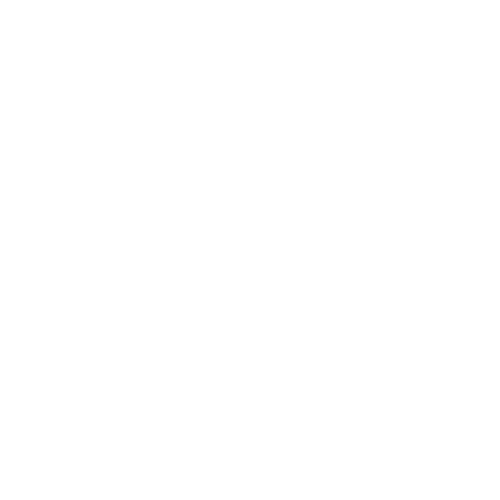 hyundai.png