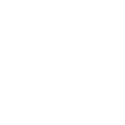 disney.png
