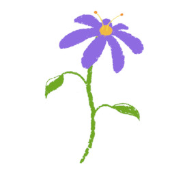 Screenshot+(14).png