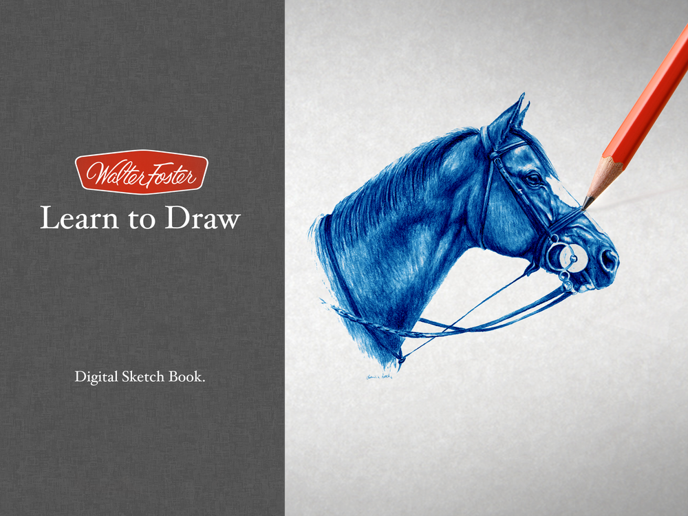 learn_to_draw_splash-1.png