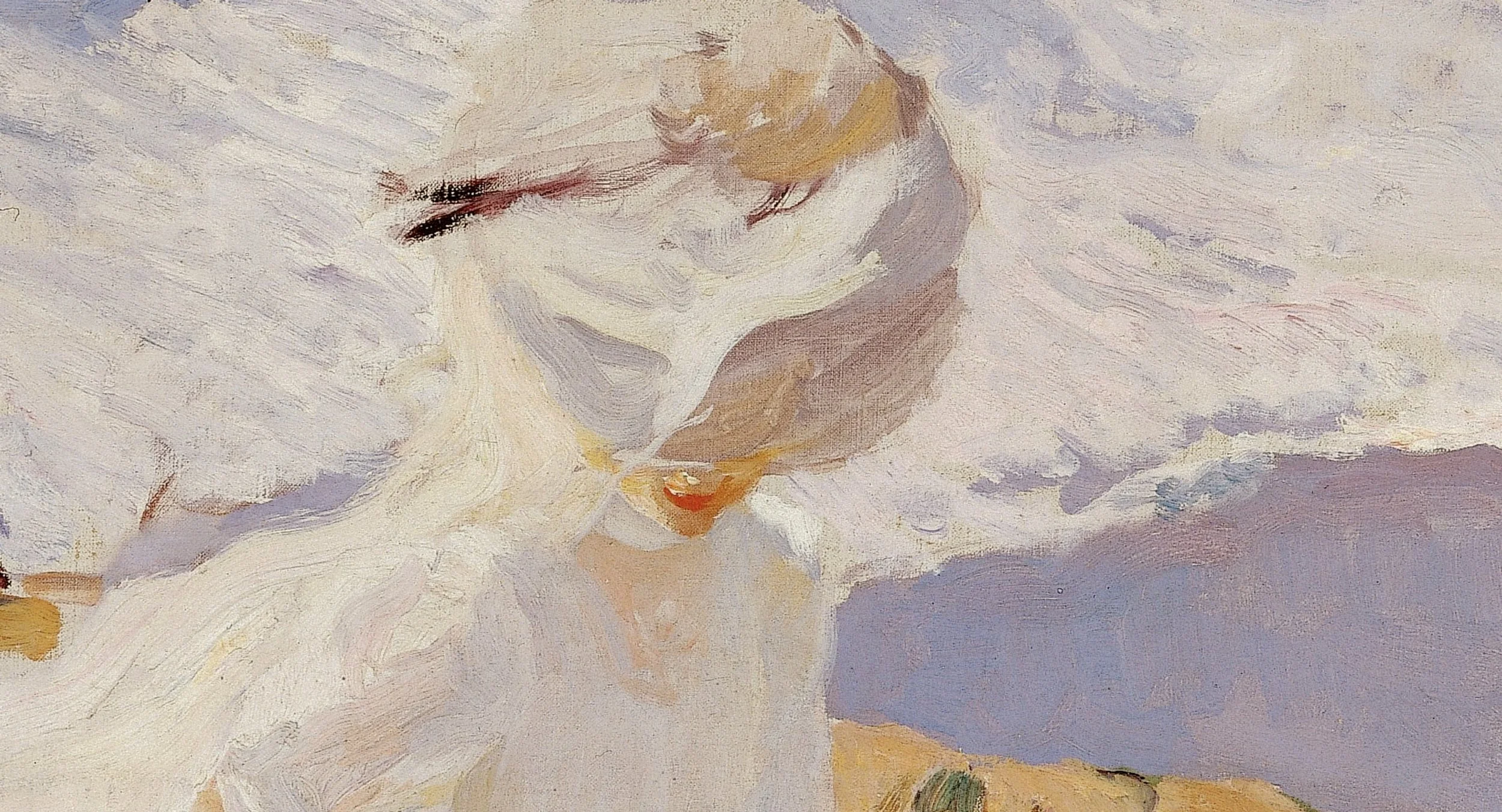 Favio: Chronicle of a Director