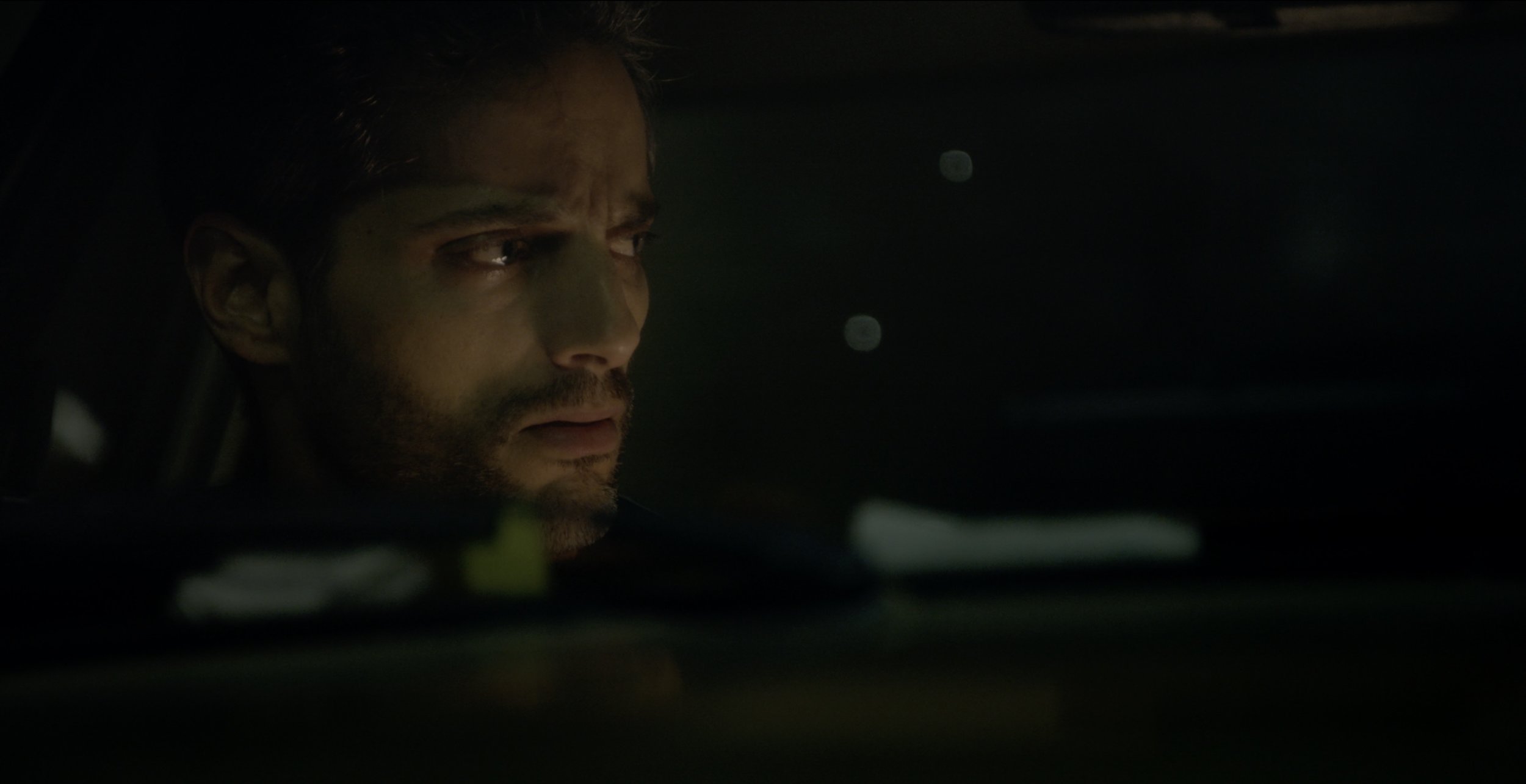 El Jardín de Bronce I