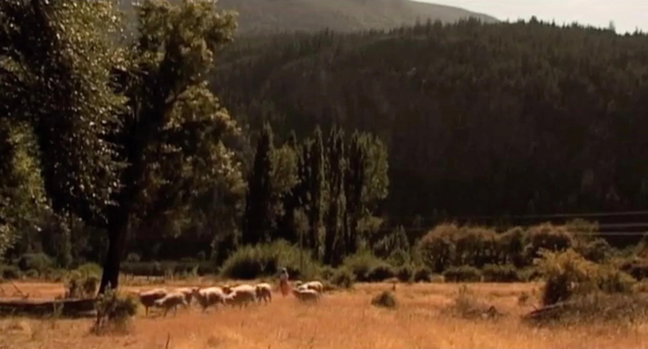 Proivido tocar los tomates