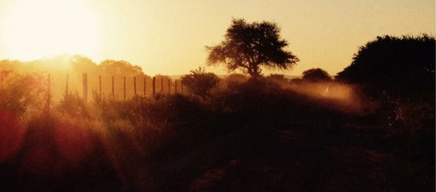 by Georgina Pretto © All Rights Reserved 2020