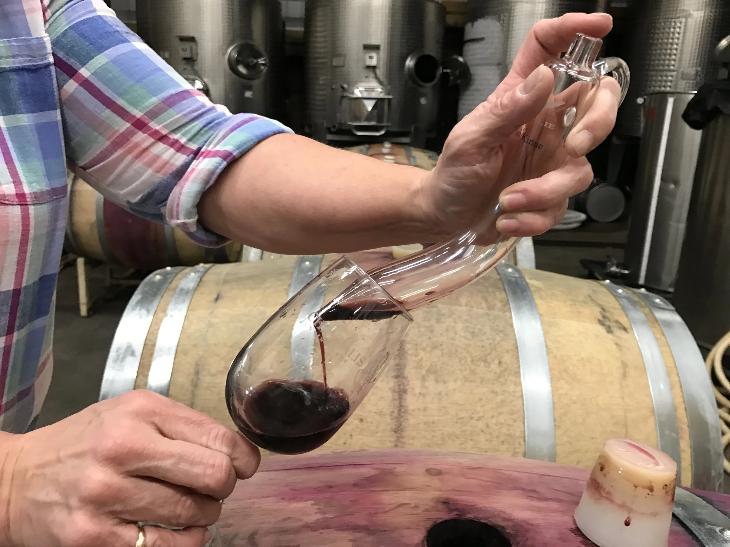 The Technology of Winemaking