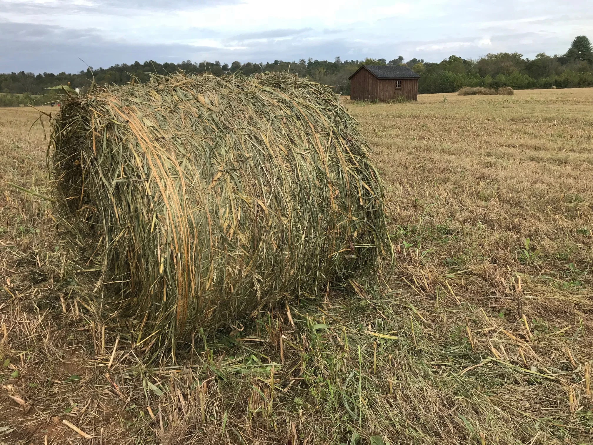 1812 - Farm Pic.jpg