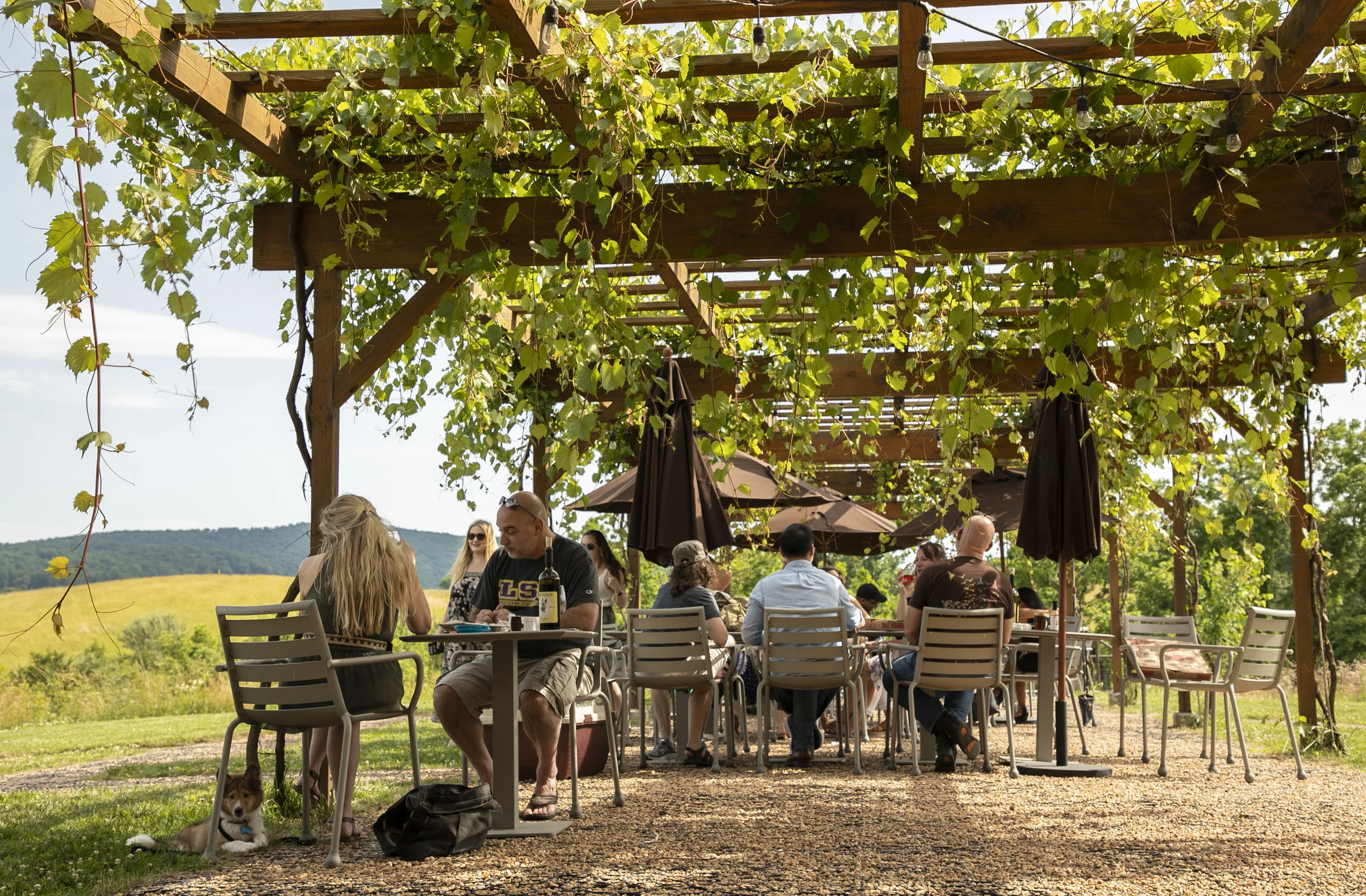 New Additions at Little River Bakehouse