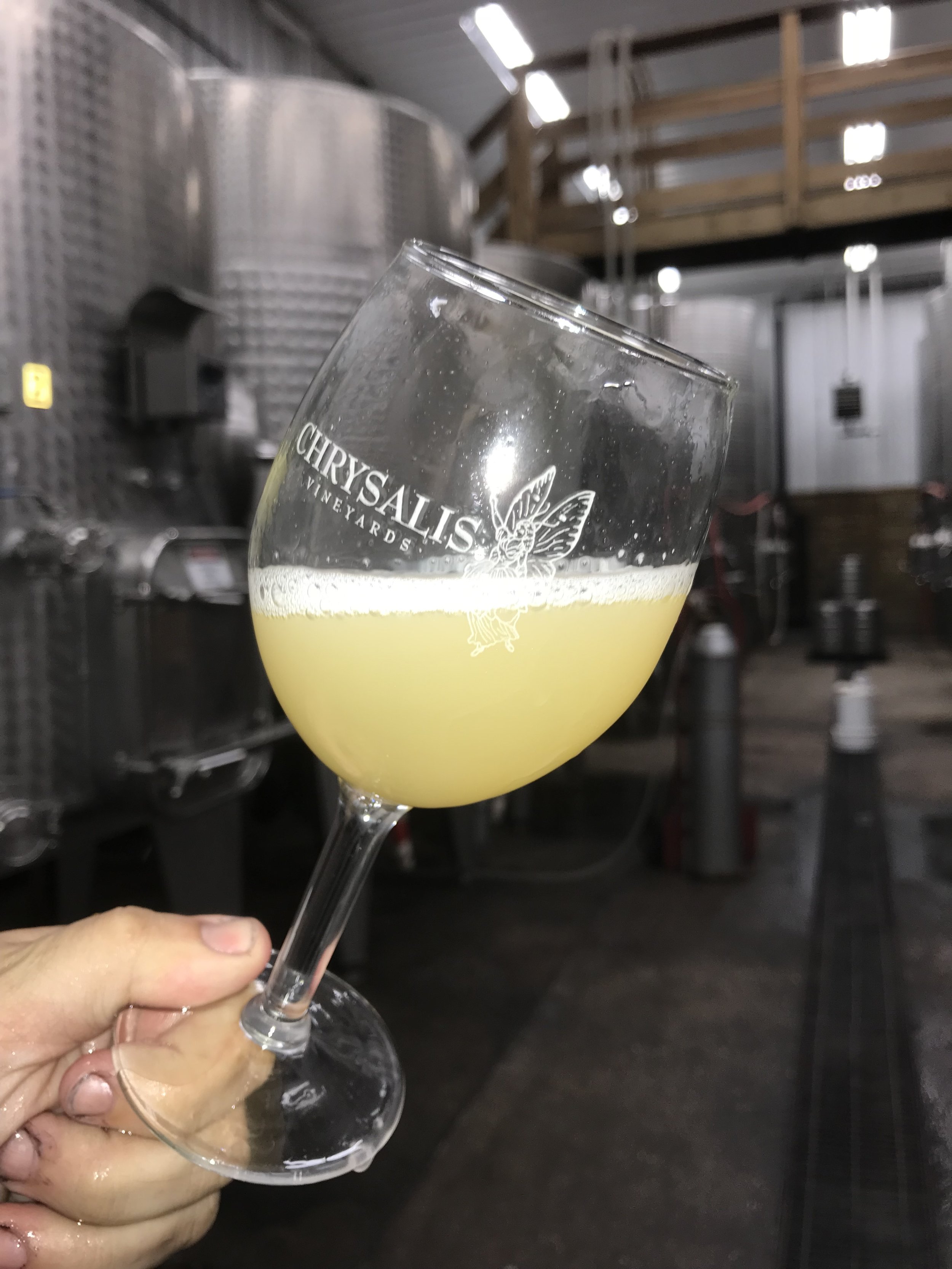 All About Viognier