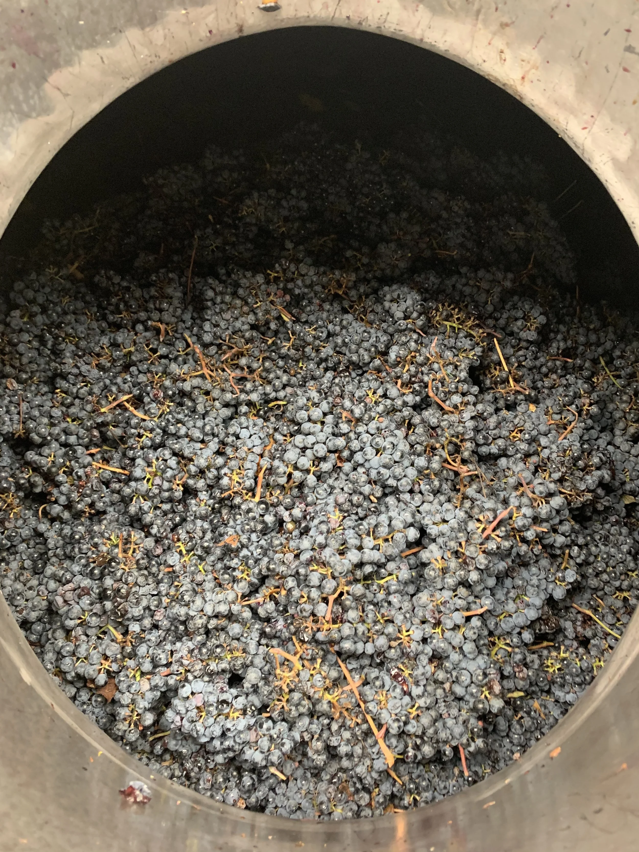 Carbonic Maceration with Norton