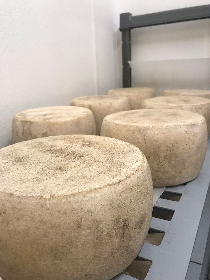 Merry Men Manchego 