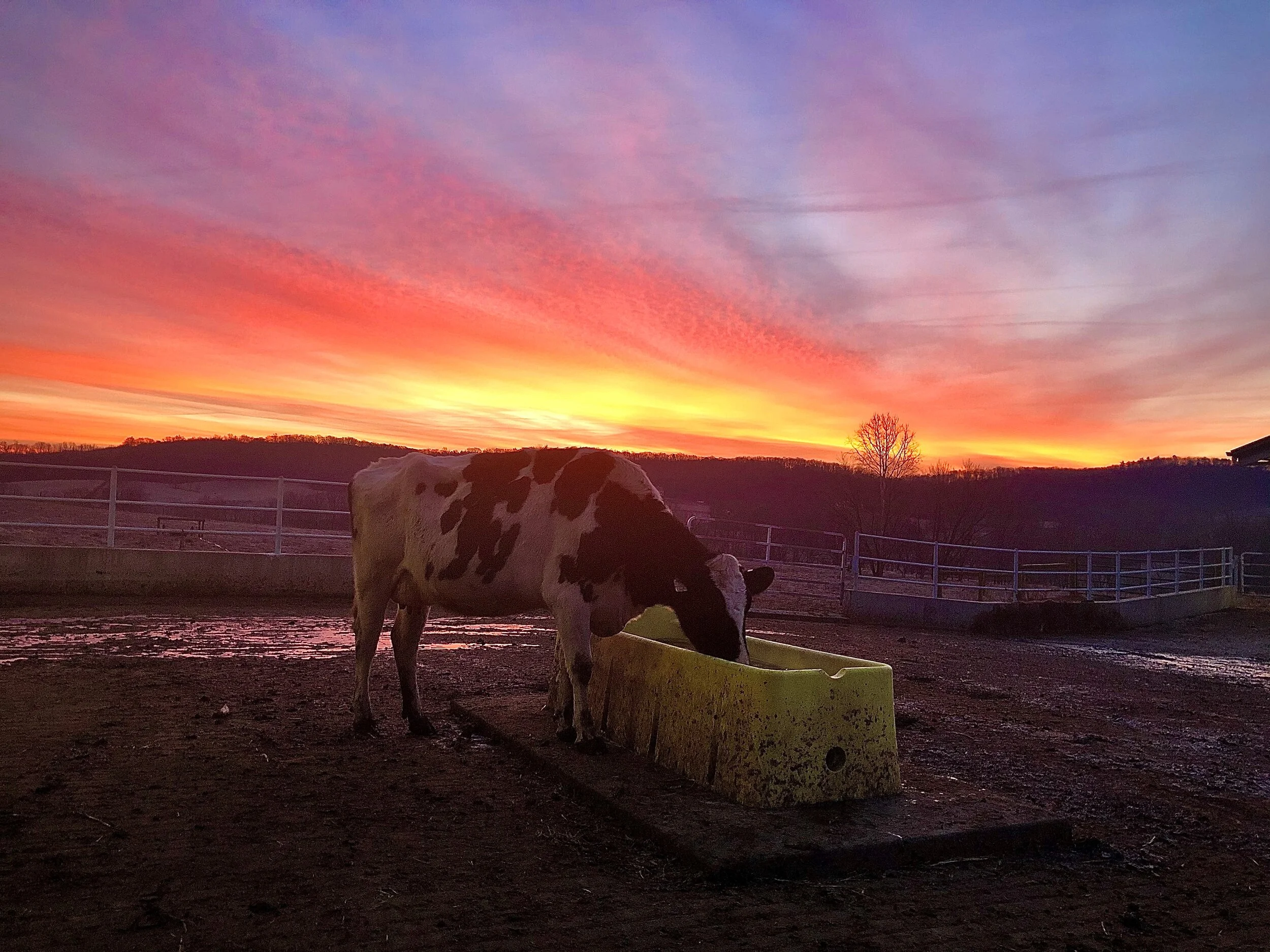 Thank You Locksley Farmstead Cheese Crew