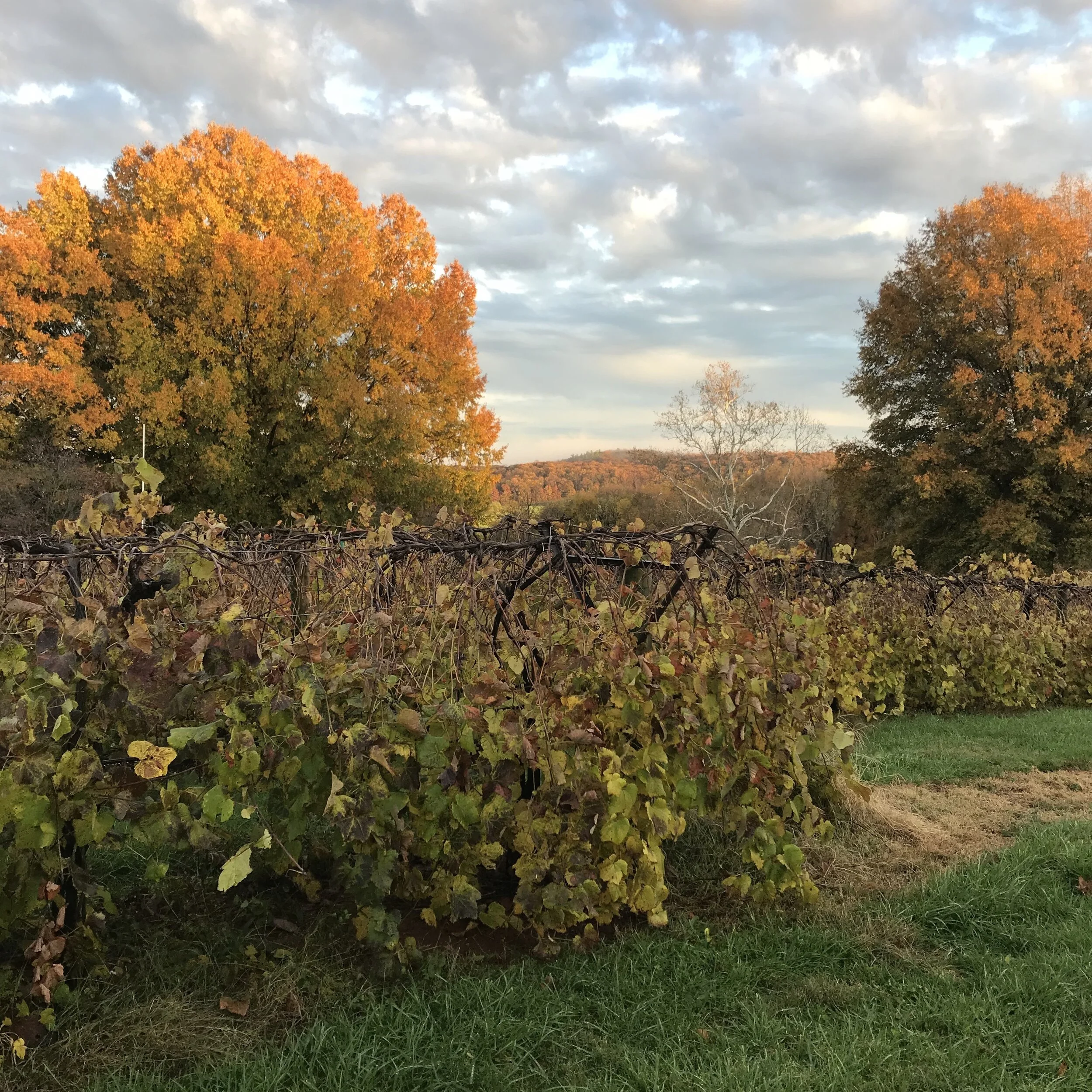 The End of the Harvest