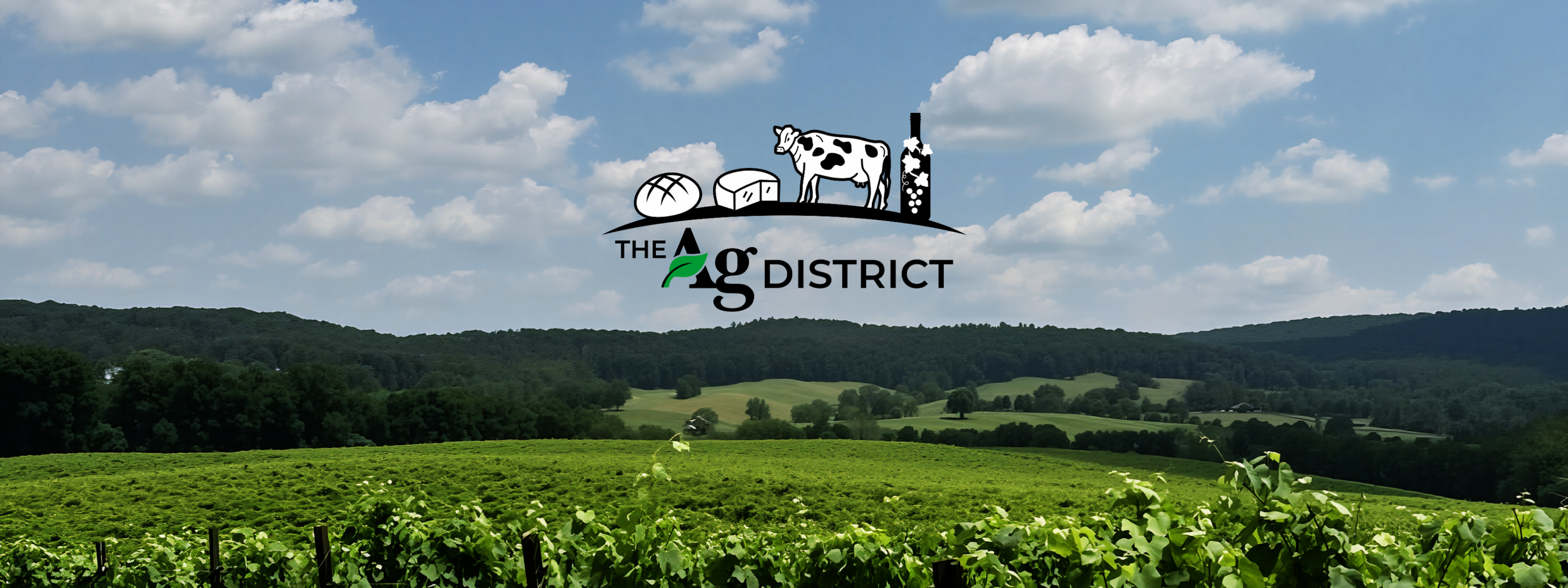 The Ag District