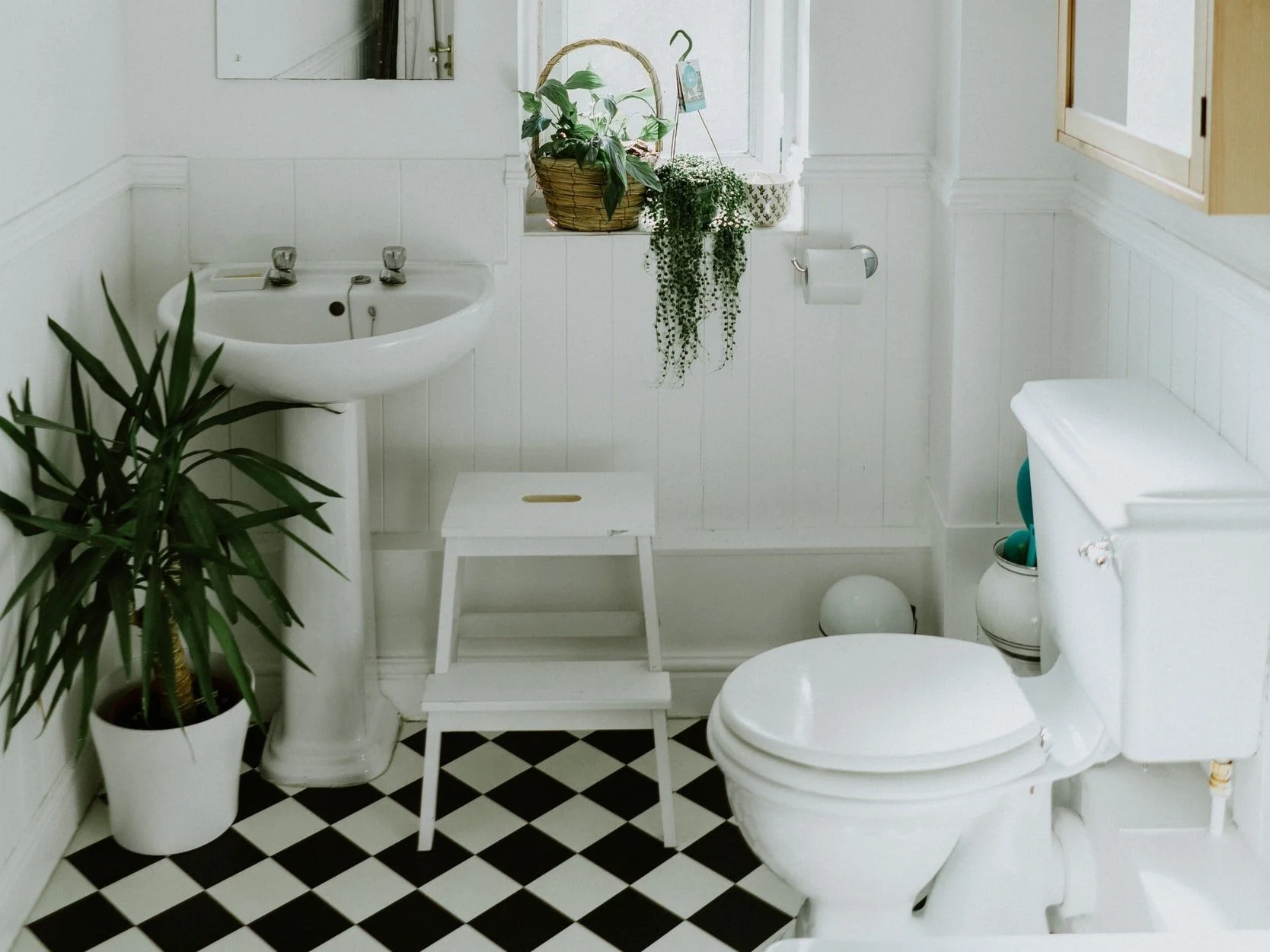 Tips to Maintain your Toilets