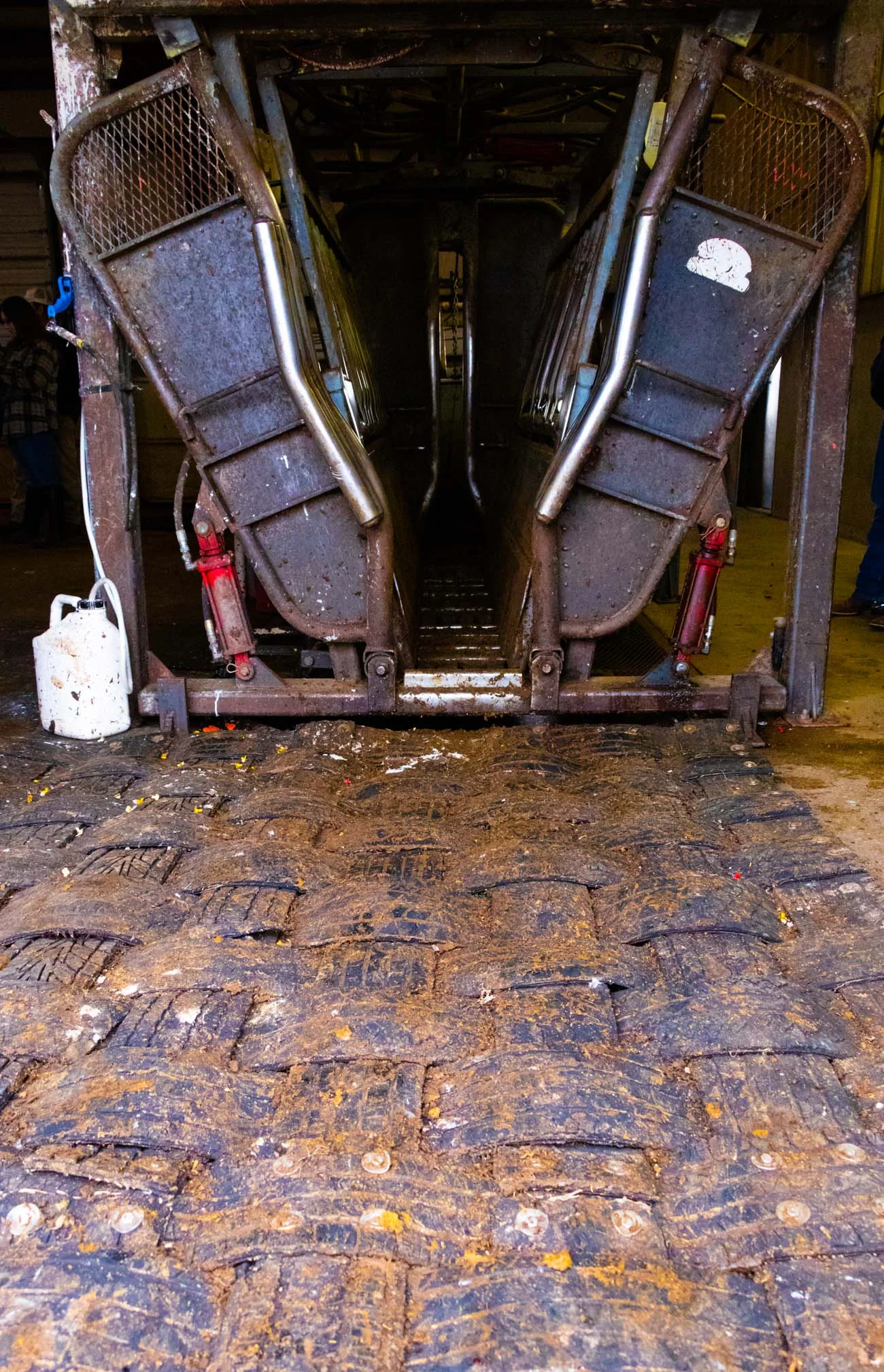 Double D Cattle Mat: Exit