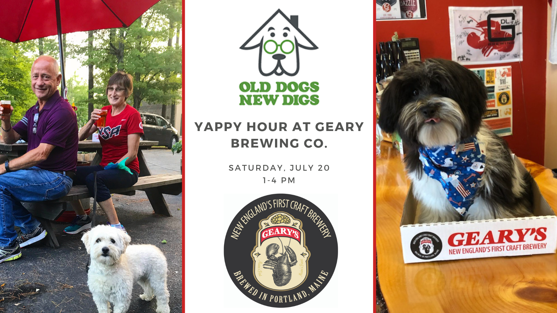 Yappy Hour with Old Dogs New Digs