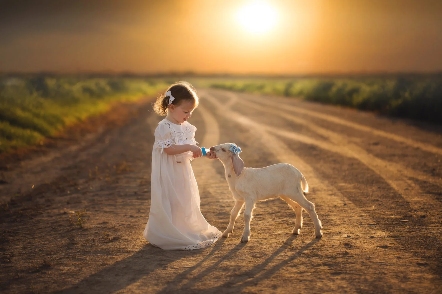 Little-Girl-Feeding-Lamb.jpg
