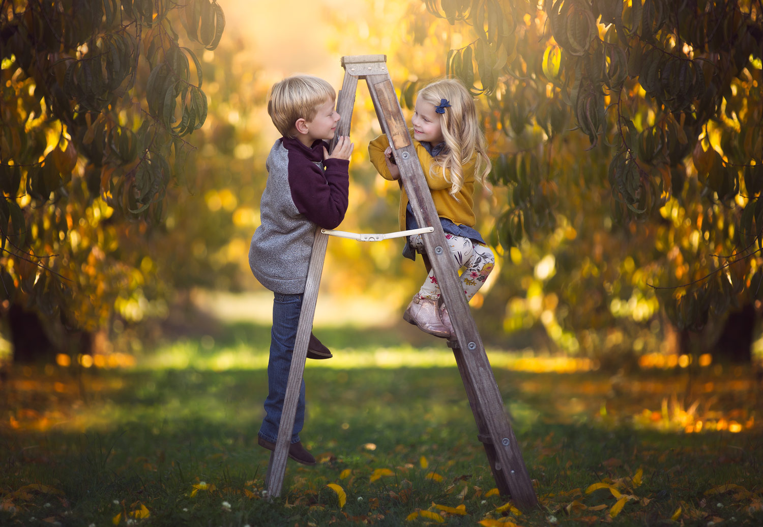 Little-Children-Standing-Ladder-Smiling-Trees.jpg