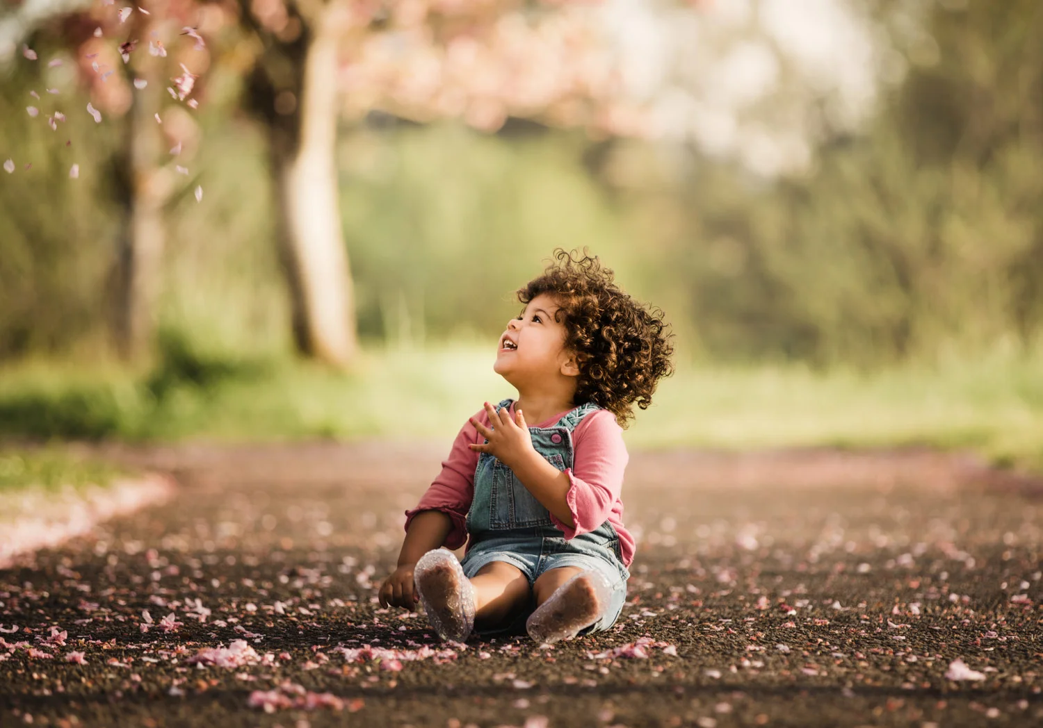 Little-Child-Sitting-Road-Looking-Falling-Flowers.jpg