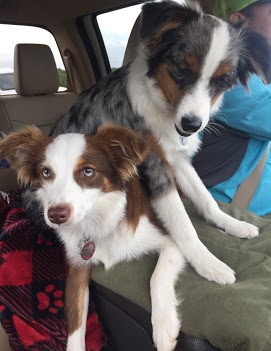 Jezzy and Trip1.jpg
