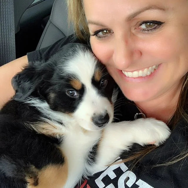 These babies are on their way to see their new mommies