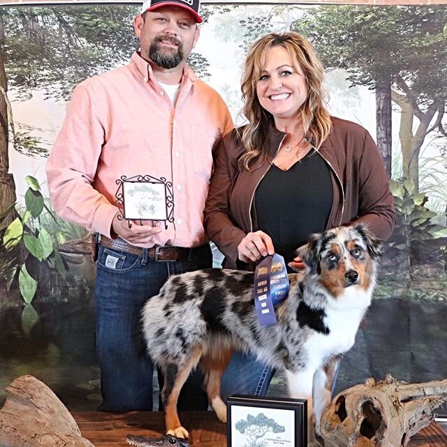 Took Best in Show with our home grown girl, Raising Star&rsquo;s Moon Lit River!