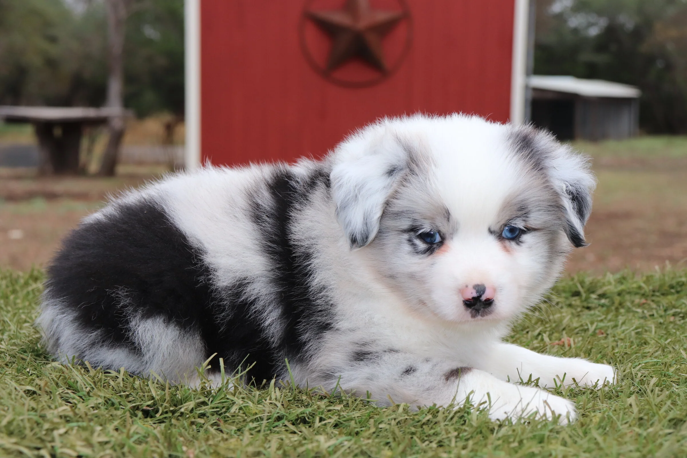 Oakley
