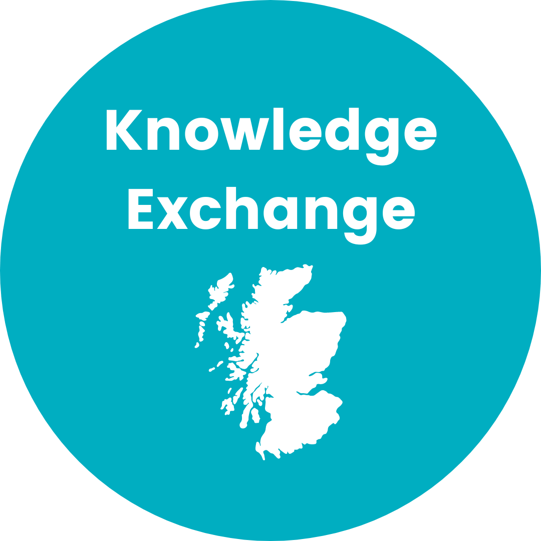 Data For Children Collaborative Our Projects data-for-children-collaborative-our-projects