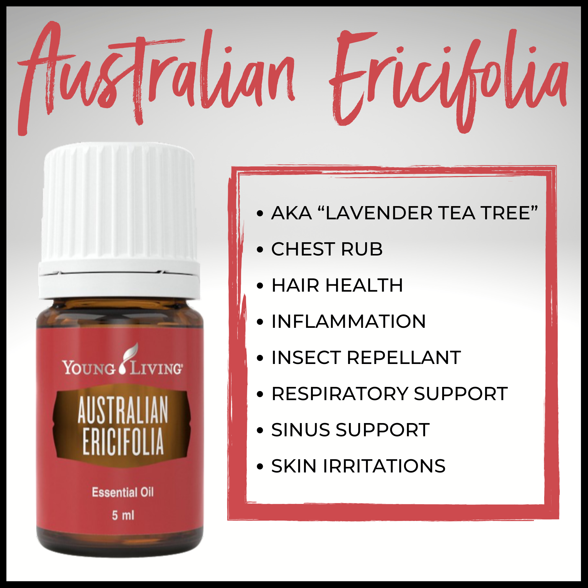 Australian Ericifolia