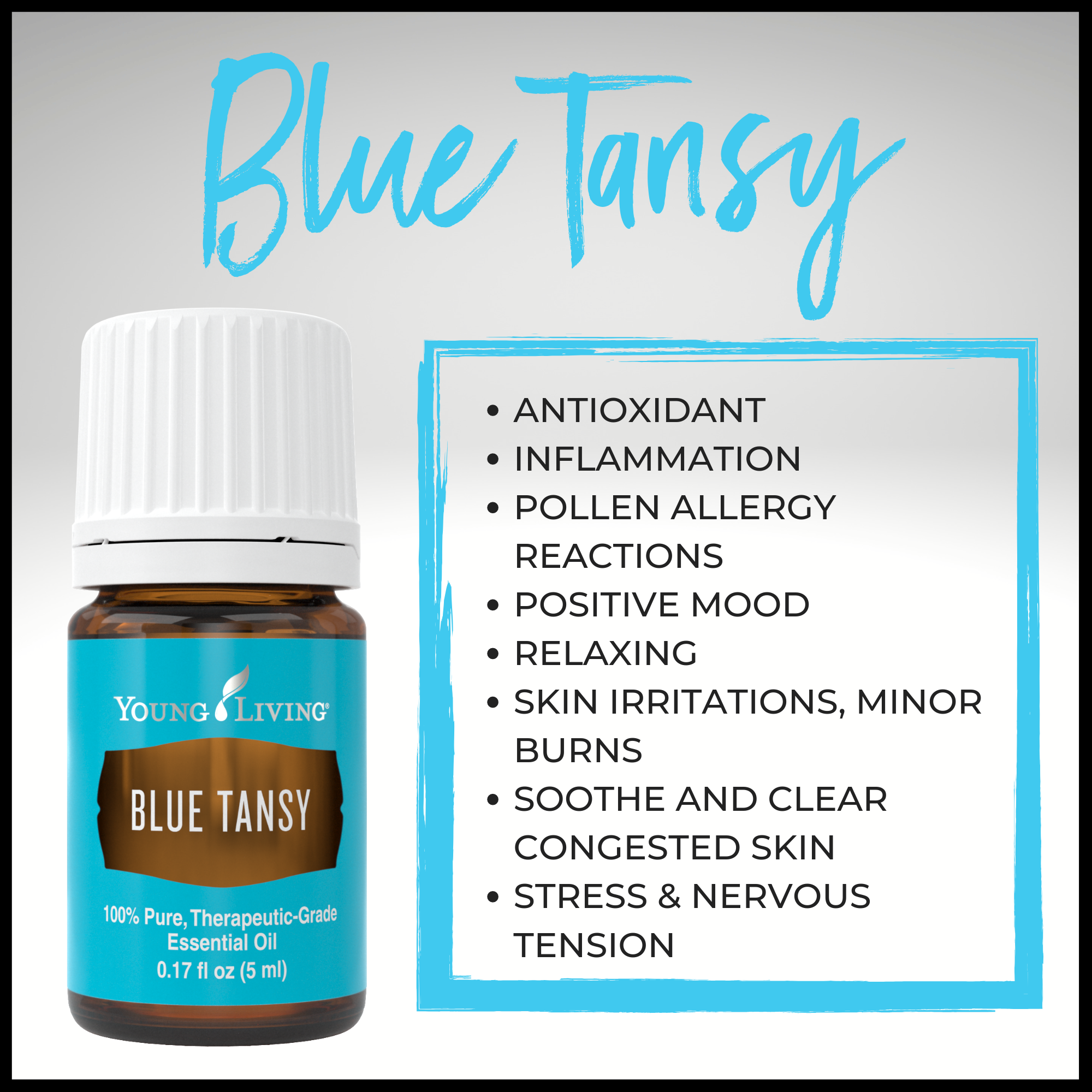 Blue Tansy