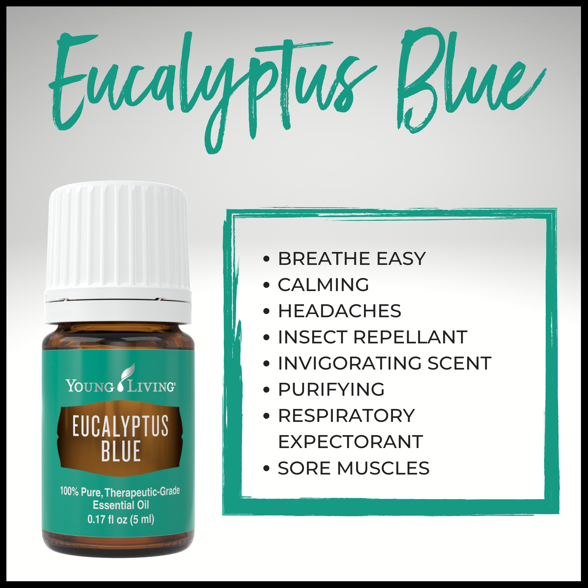 Eucalyptus Blue