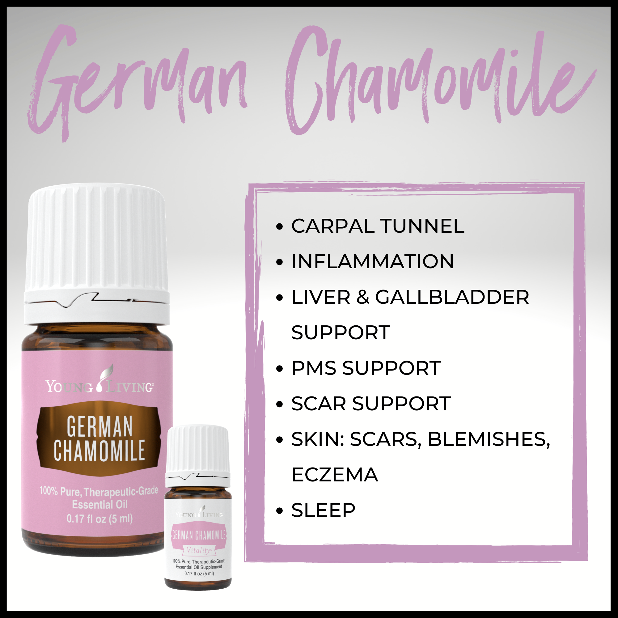 German Chamomile