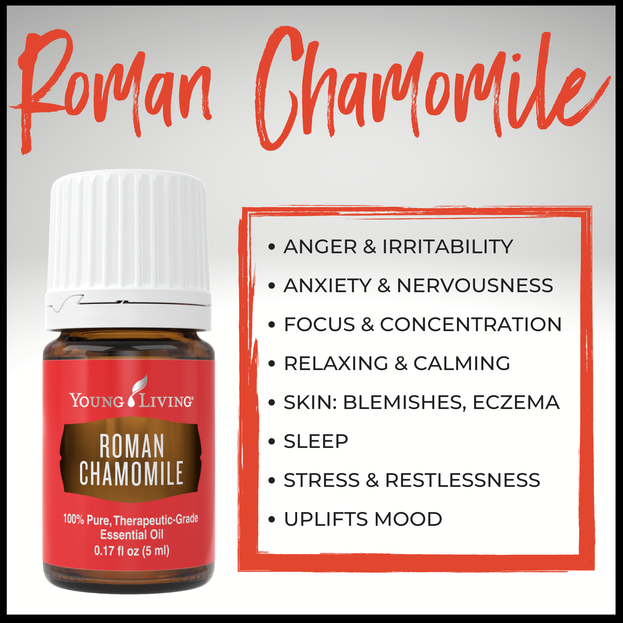 Roman Chamomile