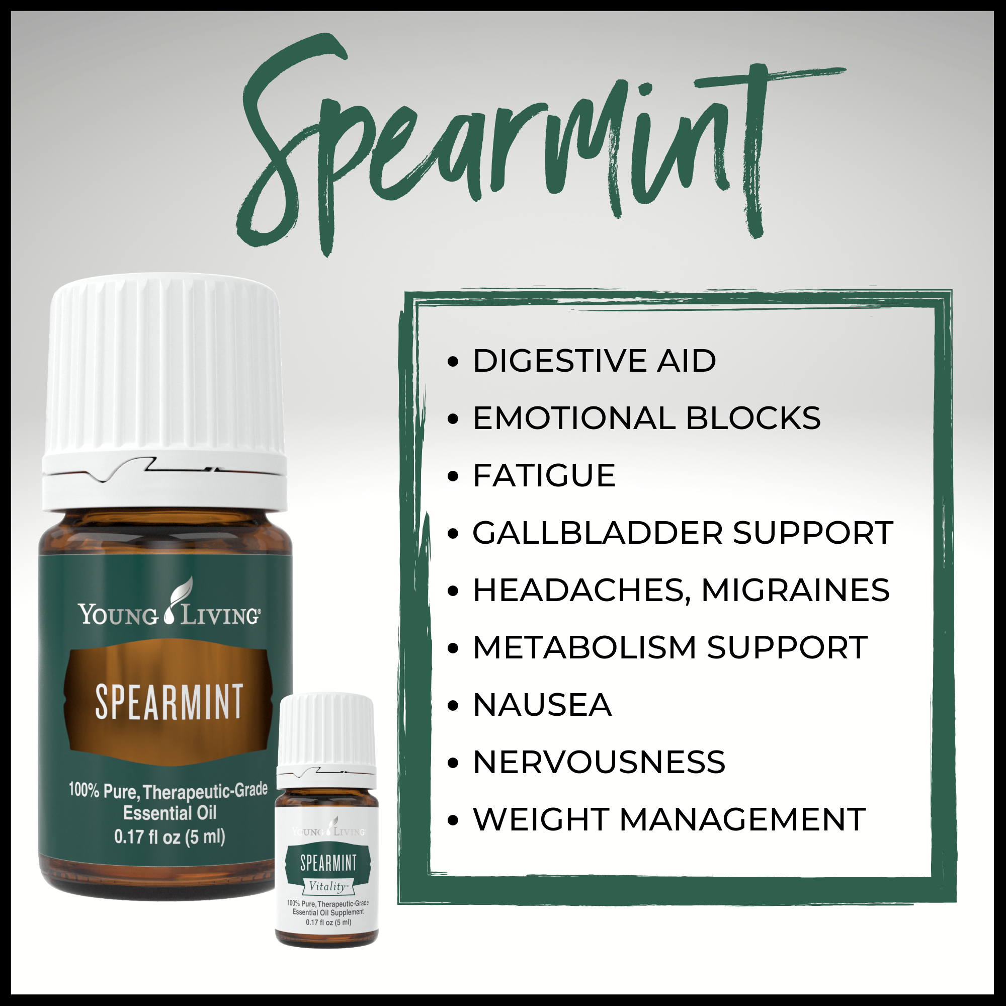 Spearmint