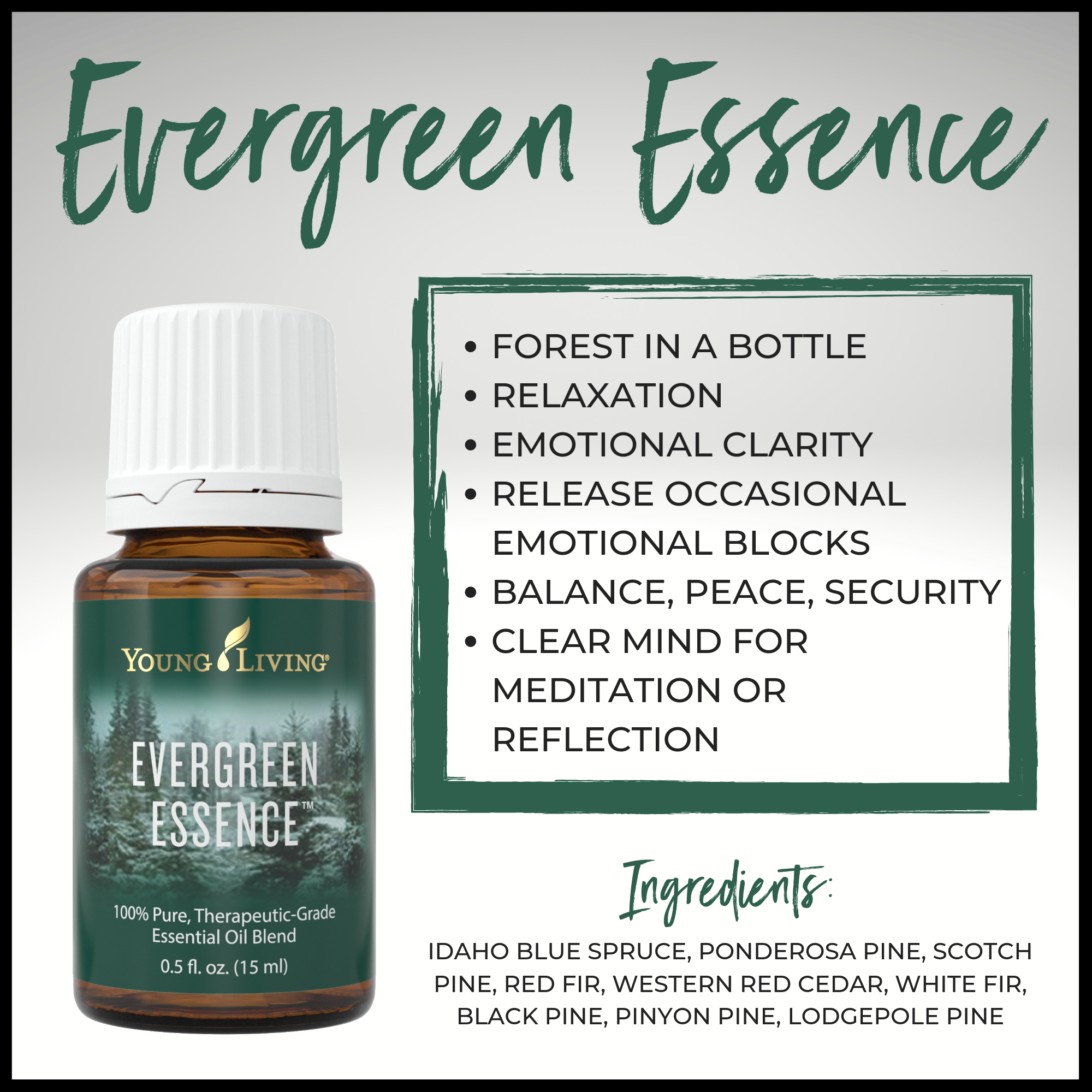 Evergreen Essence
