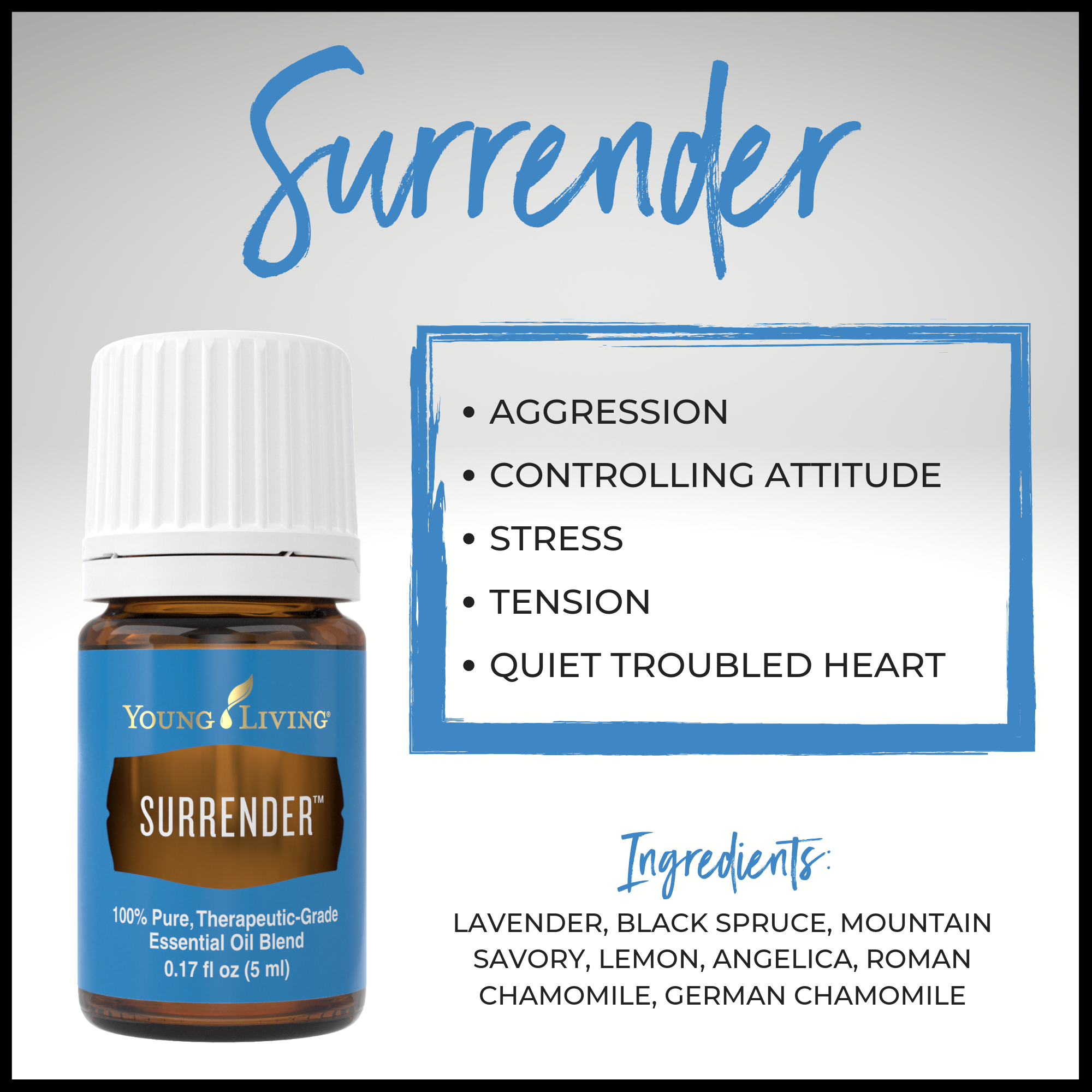Surrender — Enlightened Oilers
