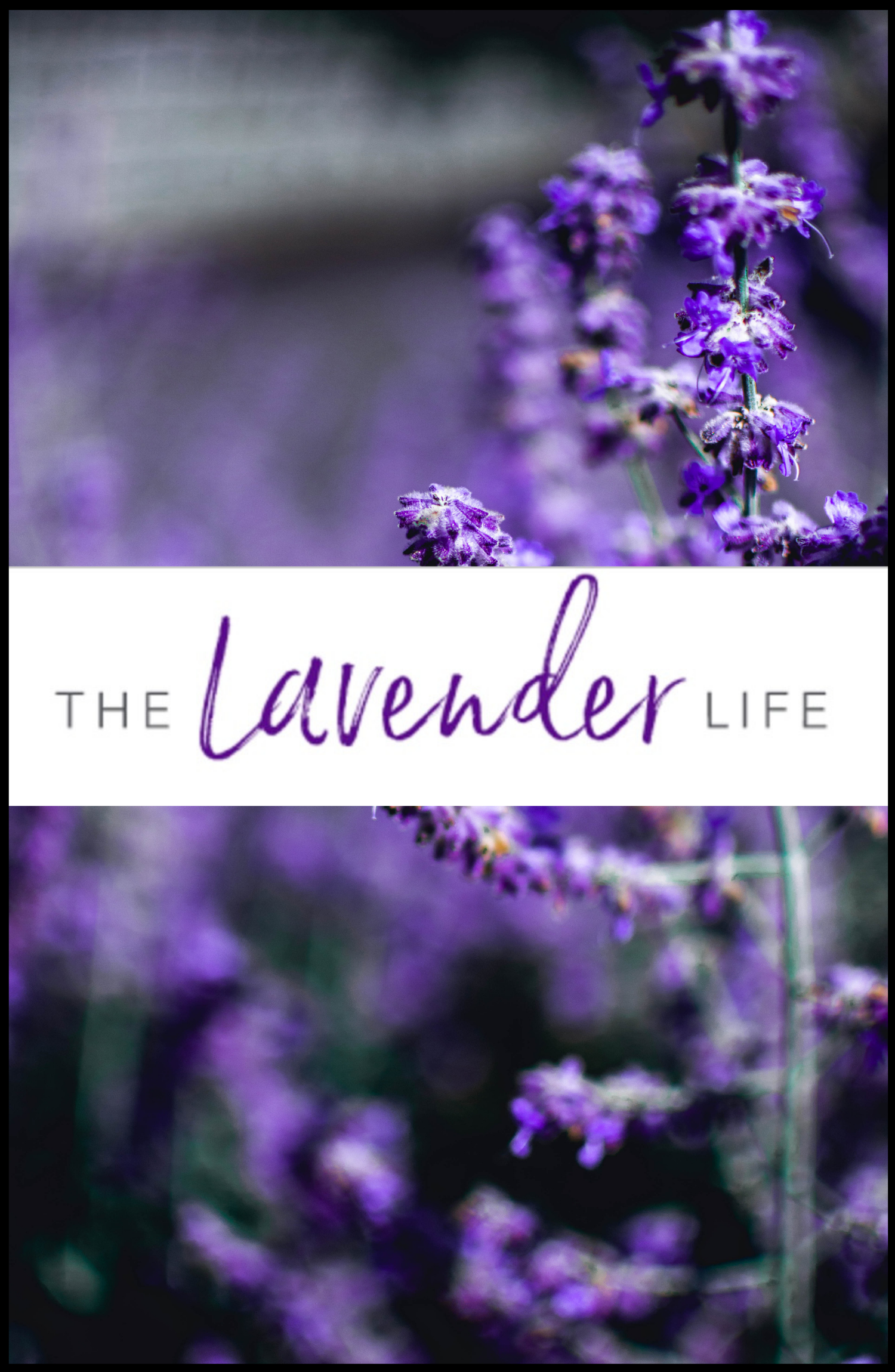 The Lavender Life, The Official Young Living Blog