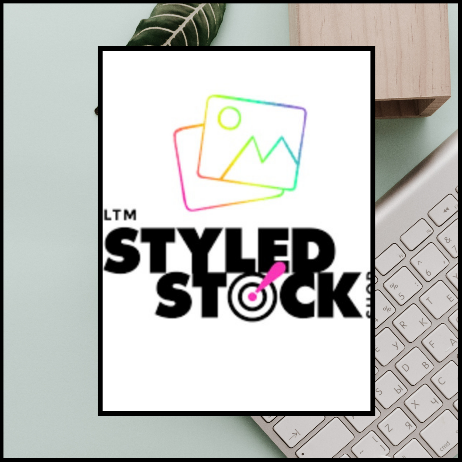 LTM Styled Stock