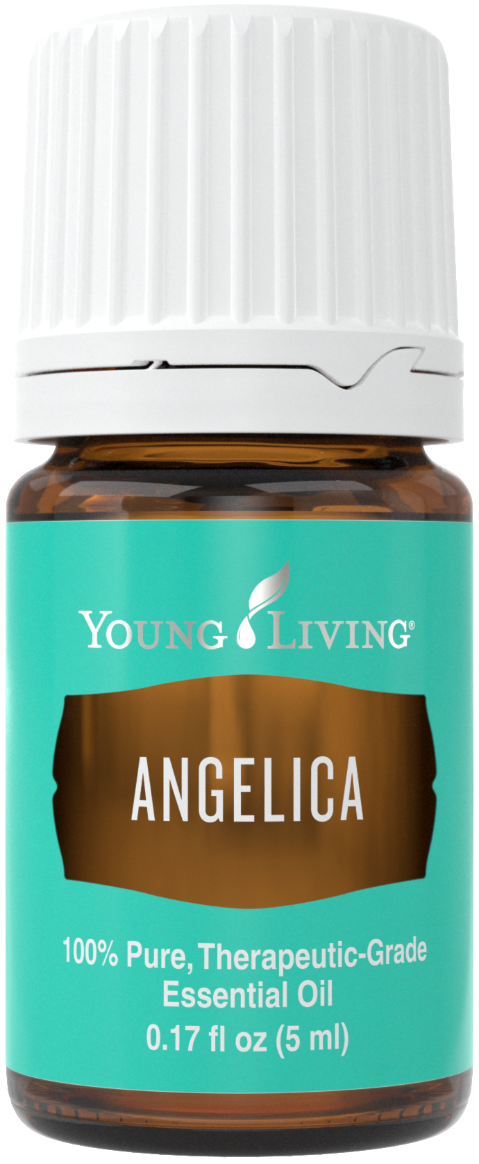 Angelica 5ml Silo.png