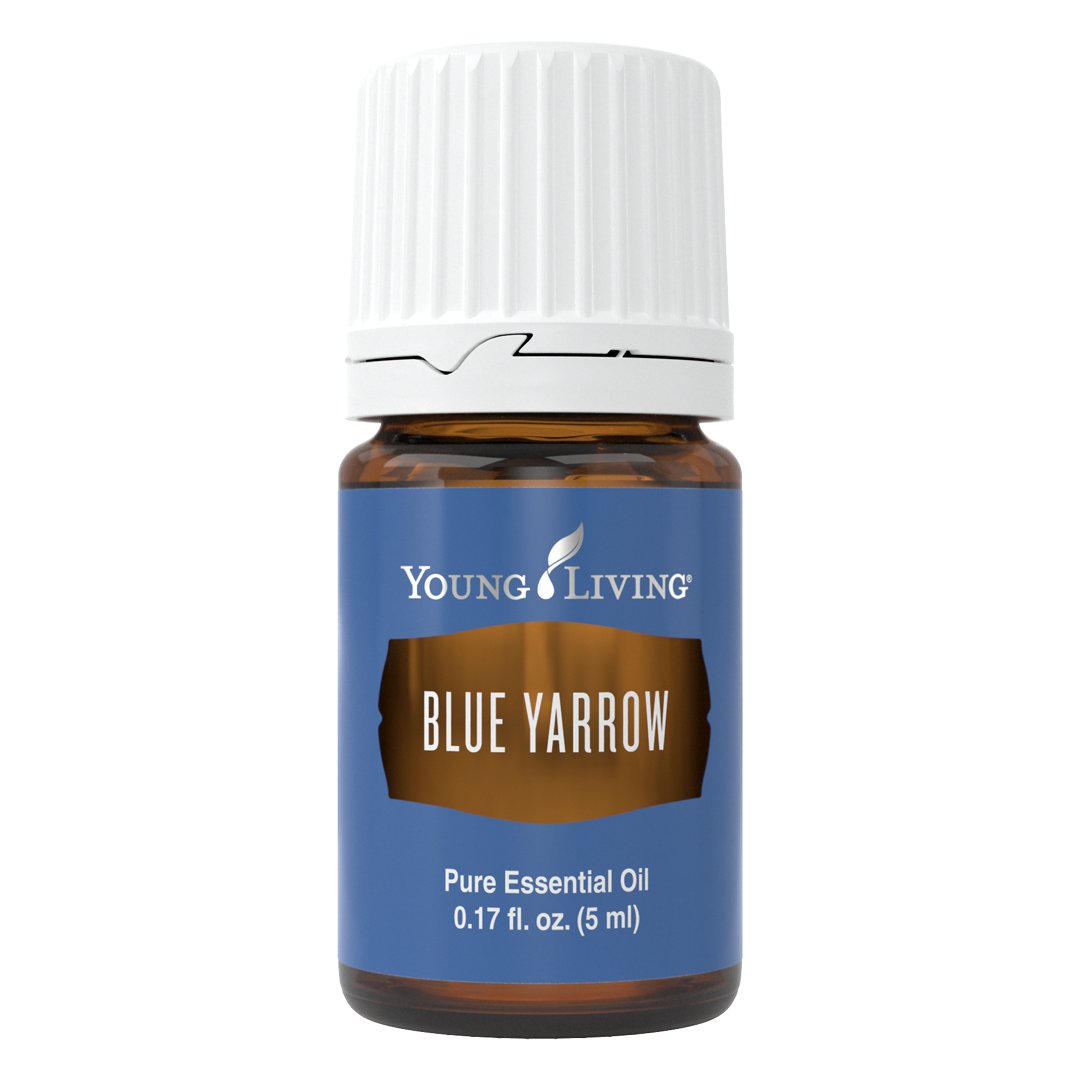 Blue Yarrow